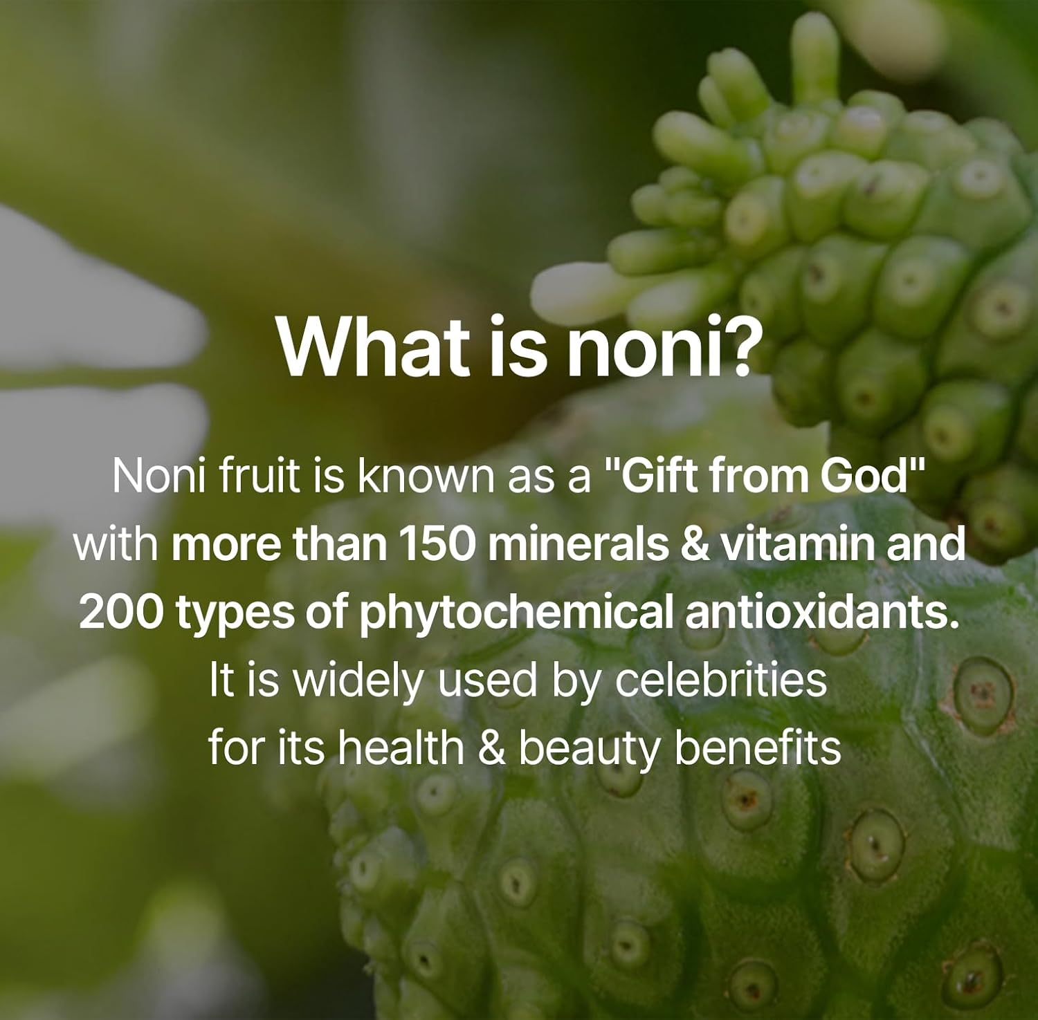 celimax Noni Moisture Balancing Toner | with Noni Extract, Facial Astringent, Hydrating, Exfoliating, for Sensitive Dry Skin, Fine Lines, Korean Skincare, 150ml - Image 3