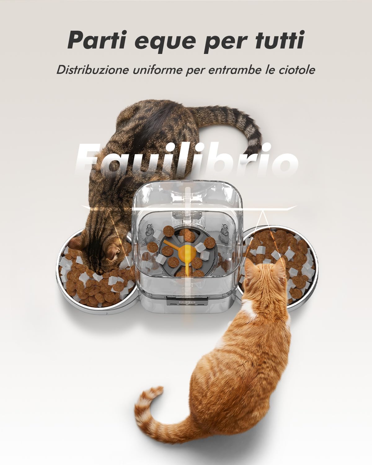 Distributore automatico cibo gatti con 2 ciotole, capacità 8L | croccantini fino a 18mm, senza blocchi, ciotole in acciaio inox, facile da pulire, doppia alimentazione, per più gatti e cani
