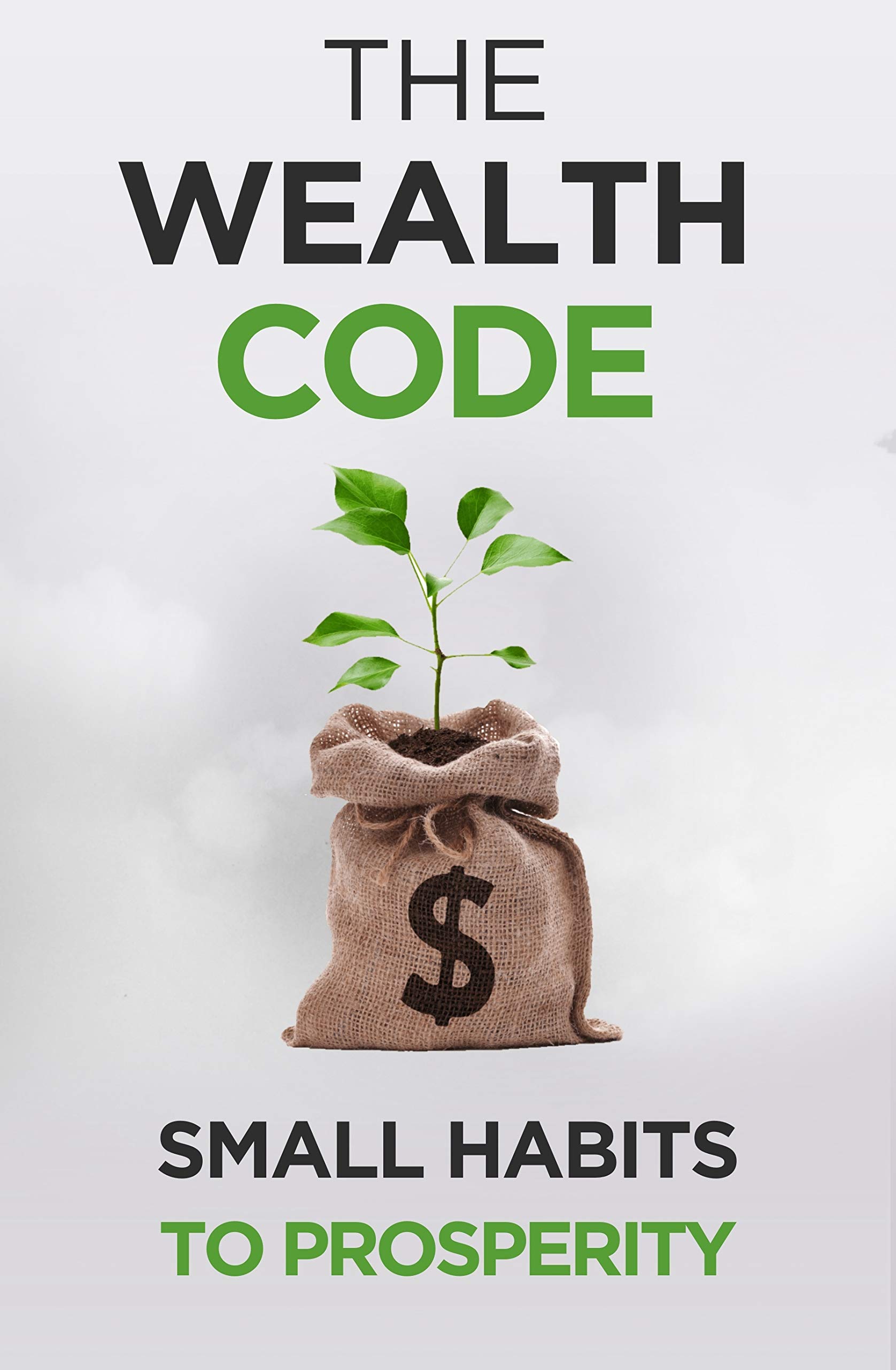 The Wealth Code: Small Habits To Prosperity (Self Help Success Book 3)