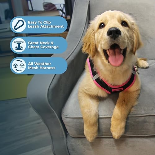 Miniatura 10 de Voyager Step-in Air Dog Harness - All Weather Mesh Step in Vest Harness for Small and Medium Dogs by Best Pet Supplies