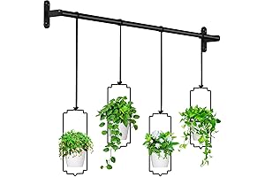 Dicasser Hanging Planters with Plastic Pots - Your Garden Oasis Elevated