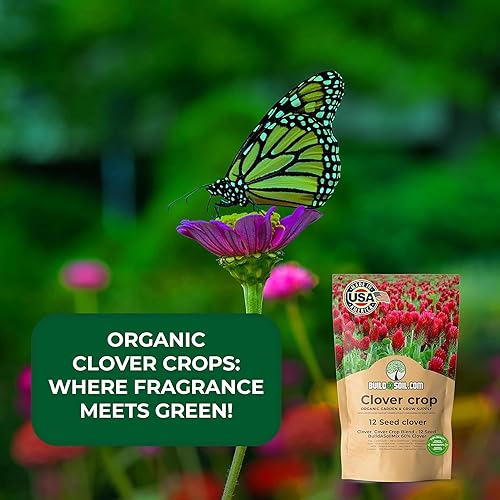 Miniatura 2 de BuildASoil Mezcla de semillas de cobertura sin colada de trébol 12 especies Semillas premium de trébol para césped - Cultivo de cobertura amigable