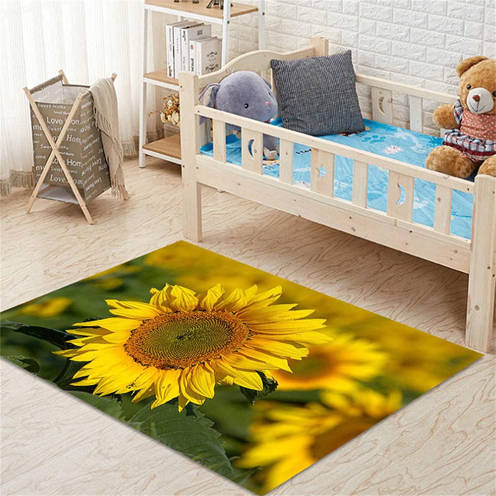 Tapis d'acupression moquette salon grand format 160x230 design