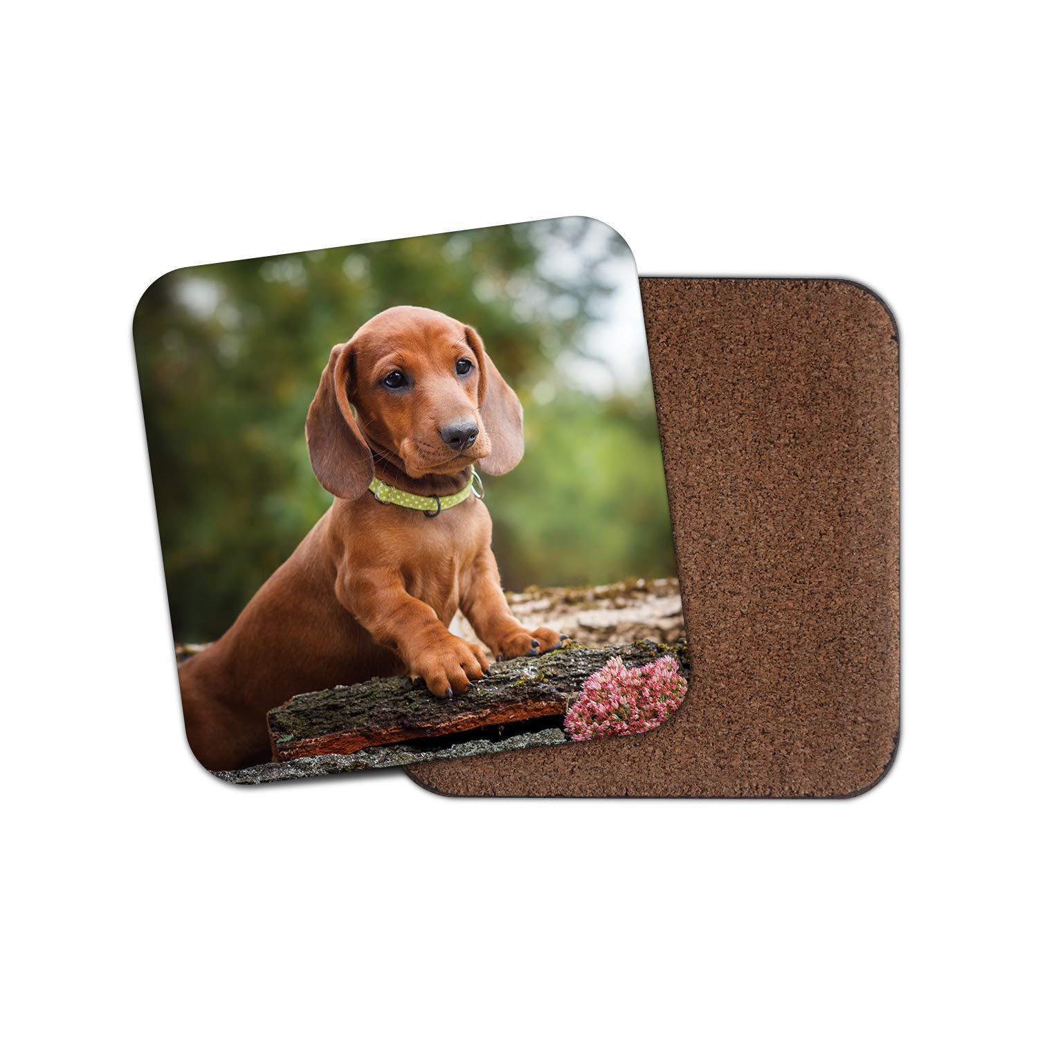 Destinationvinyl Multicolor 1 X Brown Dachshund Puppy Coaster - Sausage Dog Animal Pets Puppies Mum #15338