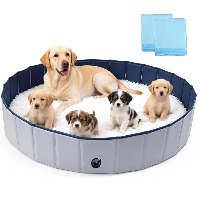 Caja plegable para partos para perros: piscina grande portátil redonda para partos
