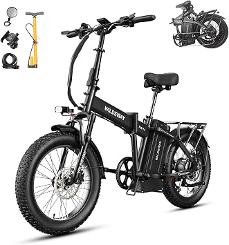 Wildeway Folding Electric Bike for Adults with 1000W Motor 35Ah Battery Long Range FW11 Pro Ebike 20 * 3.0 Fat Tire Foldable Adults Electric Bicycle for Men Women City Commuter Delivery 2 Seat