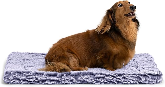 PELZIN Chew-proof Dog Bed - Fluffy Chew Resistant Dog Mat - Robust Dog Bed for Strong Chewers - Washable Ideal for Small Breeds & Fits 62 cm Box - 58 x 41 x 5 cm Jacaranda