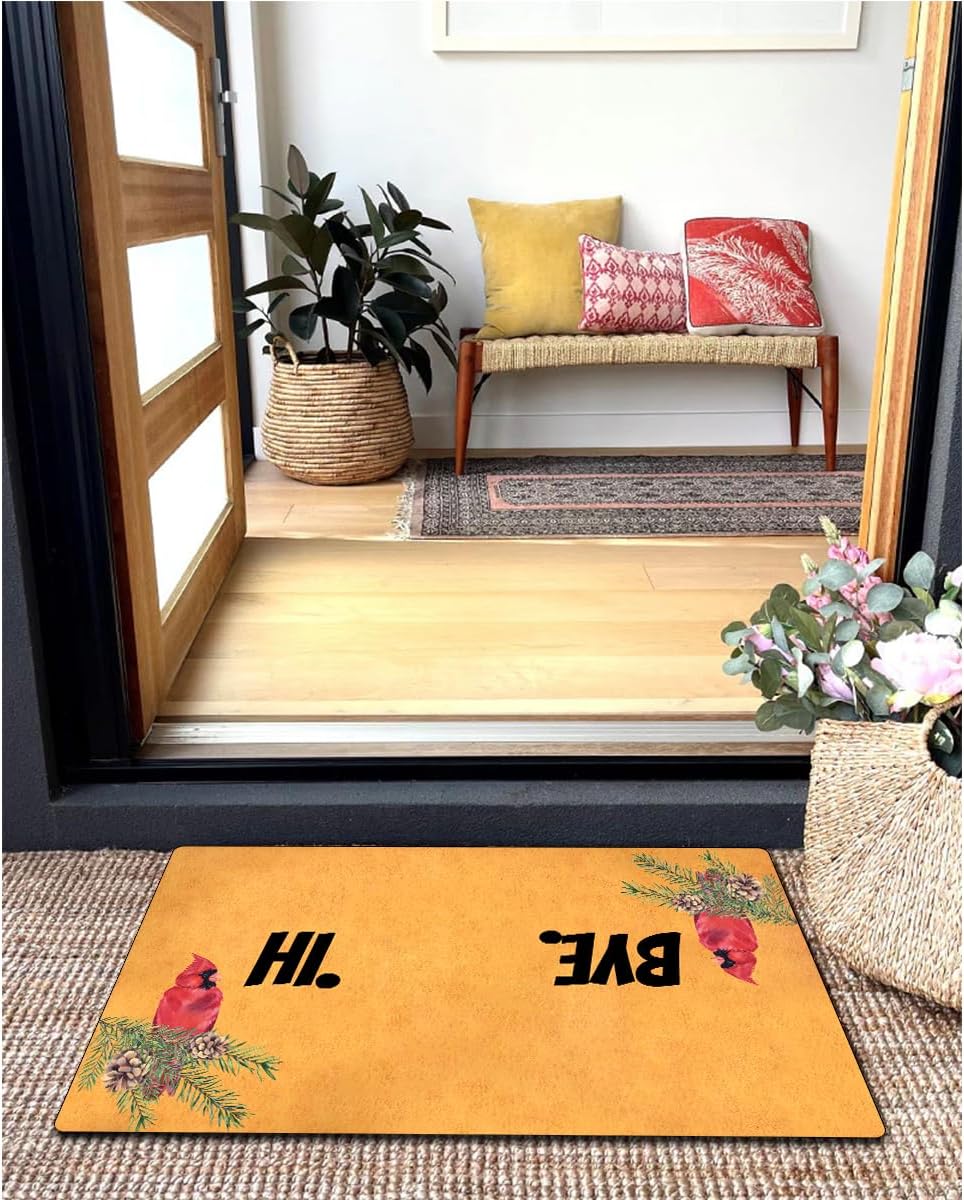 MELODADDY Funny Welcome Doormat for Entrance Way Indoor Floor Rug (18 x 30 inch) House Warming New Home Gift Prank Novelty Mats Indoor Decor Mats No Slip Kitchen Rugs (Cardinal Birds - Hi Bye Design)