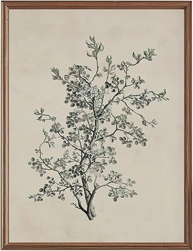 Impresiones artísticas de pared botánicas vintage, boceto, arte botánico, decoración de pared, impresiones en blanco y negro, imágenes de plantas