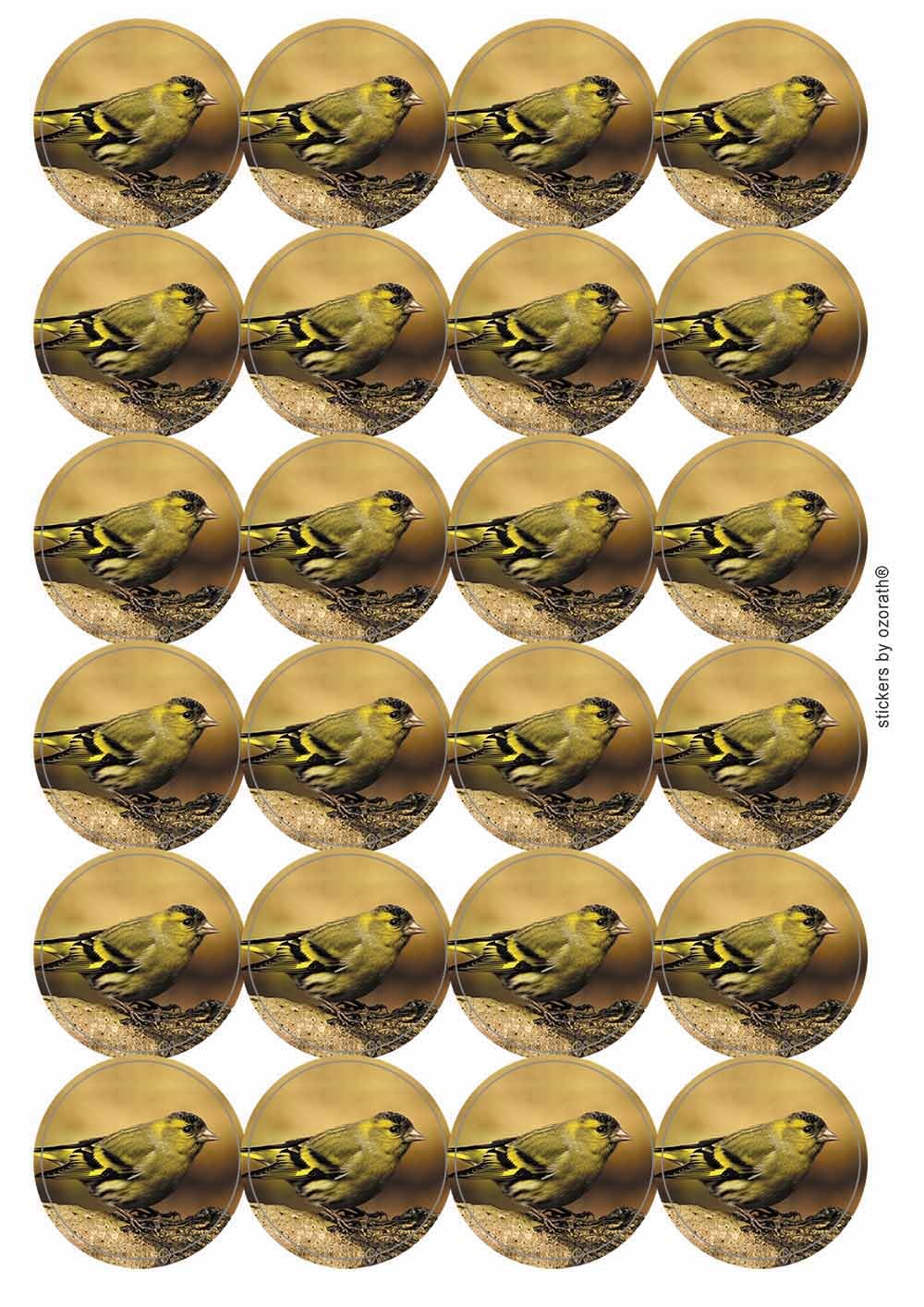 Siskin Circular Matt Paper Stickers A4 Sheet of 24 (Each Sticker is 45mm Diameter)