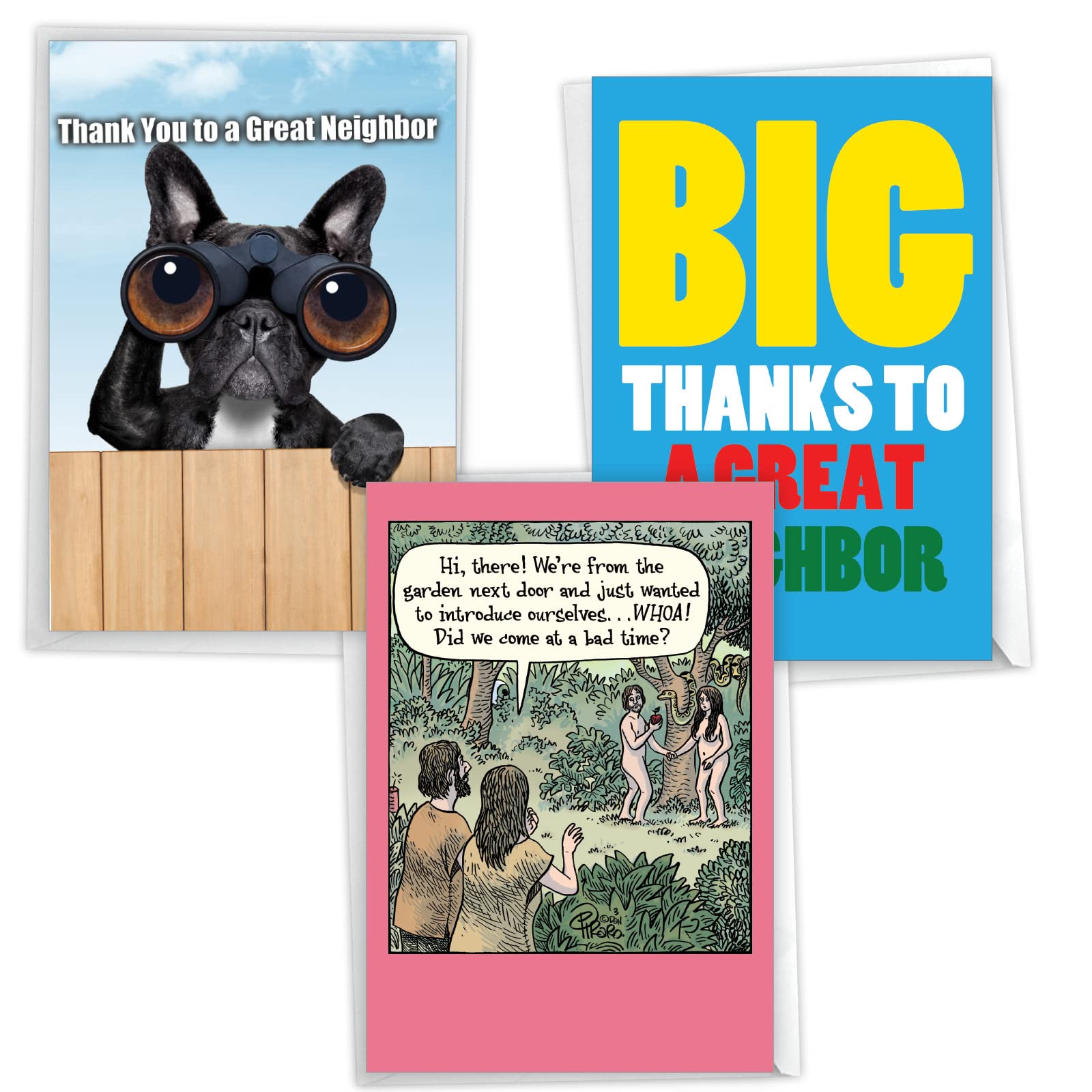NobleWorks Assortment Pack of 3 Hilarious Thank You Greeting Cards for Men and Women (Neighbor) with Envelopes (3 Designs, 1 Each) Grateful Neighbors