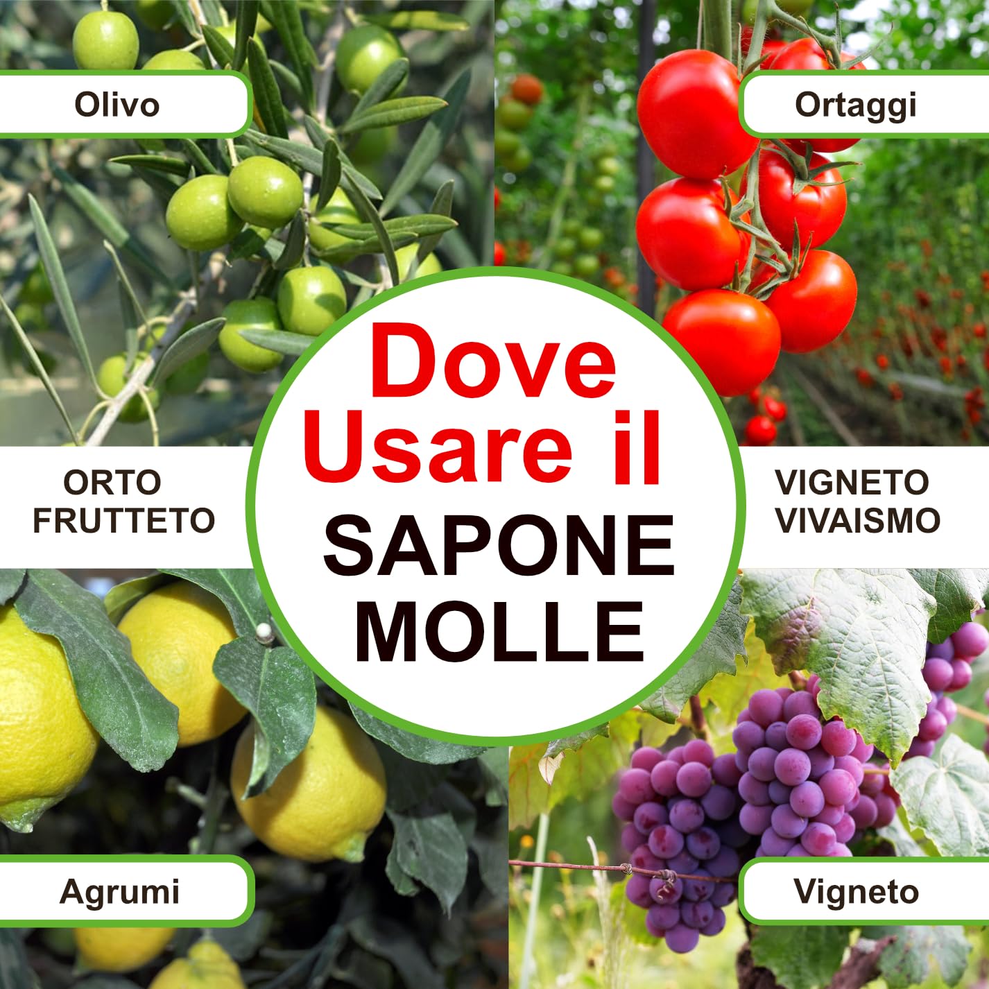 Sapone Molle Potassico Alta concentrazione e Efficacia in presenza di insetti, malattie, fumaggine - lavamelata. FORMATO GRAN RISPARMIO (2 Taniche da 5 Kg)