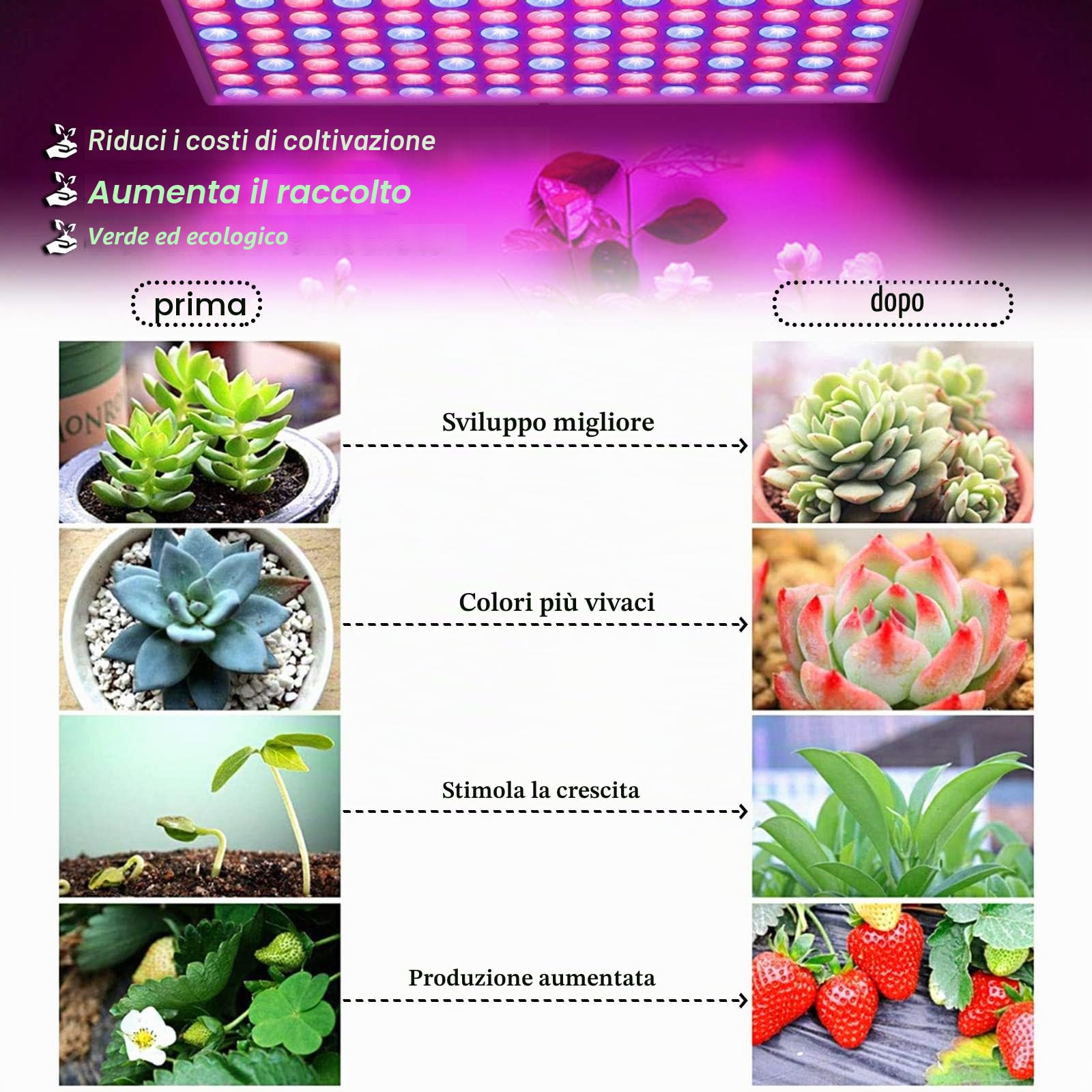 UISEBRT Lampada per piante a LED a spettro completo, 2 x 45 W, 225 LED, rosso e blu, per piante da interno, fiori e verdure, luce diurna (2 x 45 W)