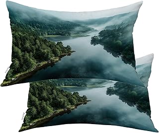 Forested Area Outdoor Throw Pillow Covers, Misty Morning Natural Beauty Cushion Cover Digital Water Resistant Linen Hidden Zipperl Indoor Pillows for Hair Skin Lumbar 12X20 in 2 Pcs