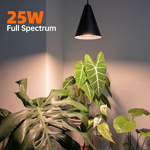 Miniatura 3 de Bstrip Luces de cultivo colgantes, luces colgantes de espectro completo para plantas de interior, bombillas negras de 25 W con cable de alimentación