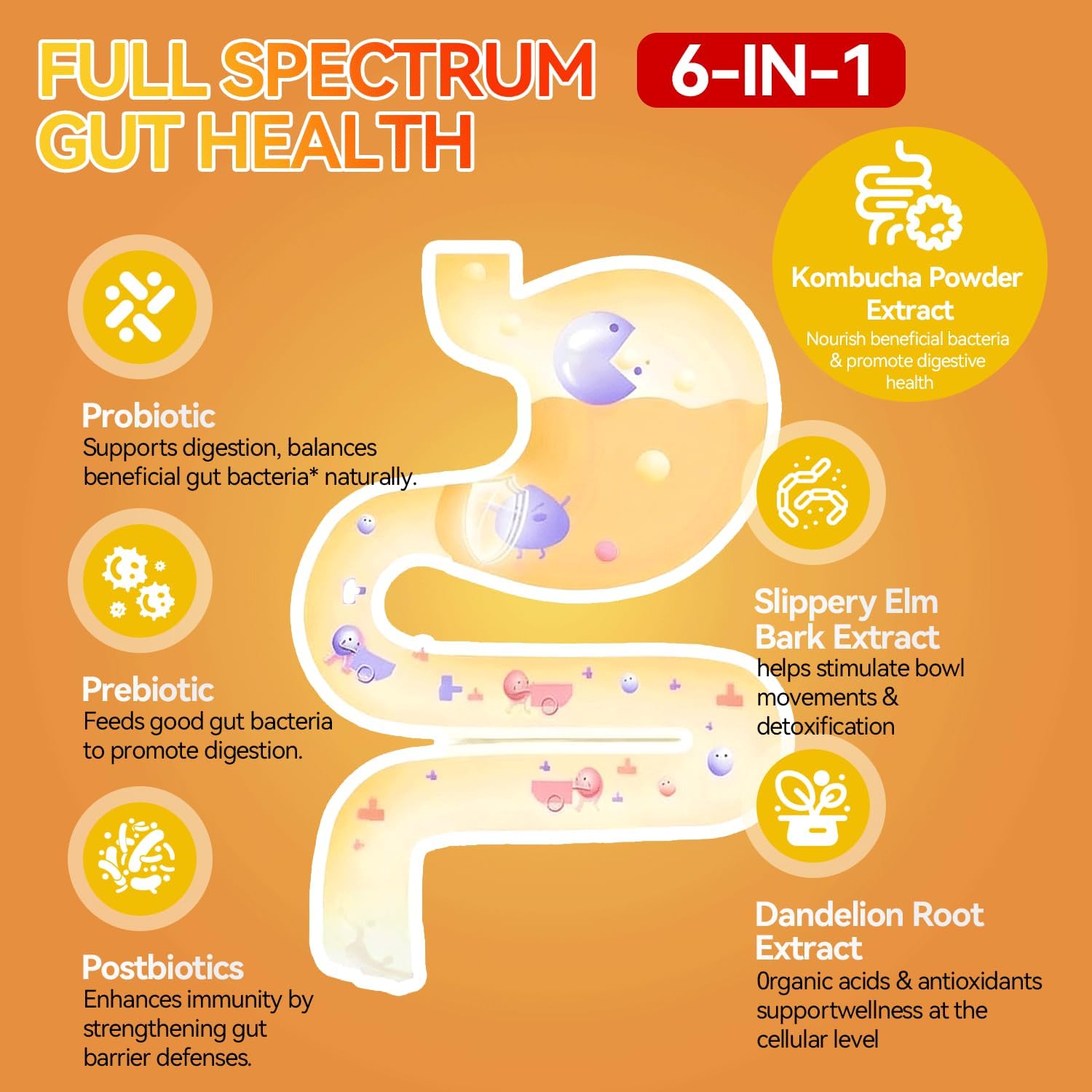 Probiotic Kombucha Gummies Sugar Free Prebiotic Postbiotic Probiotics Gummies with Slippery Elm for Women and Men Bloating Gut Health Immune and Digestive Support - 60 Gummies - 30 Servings - Image 5