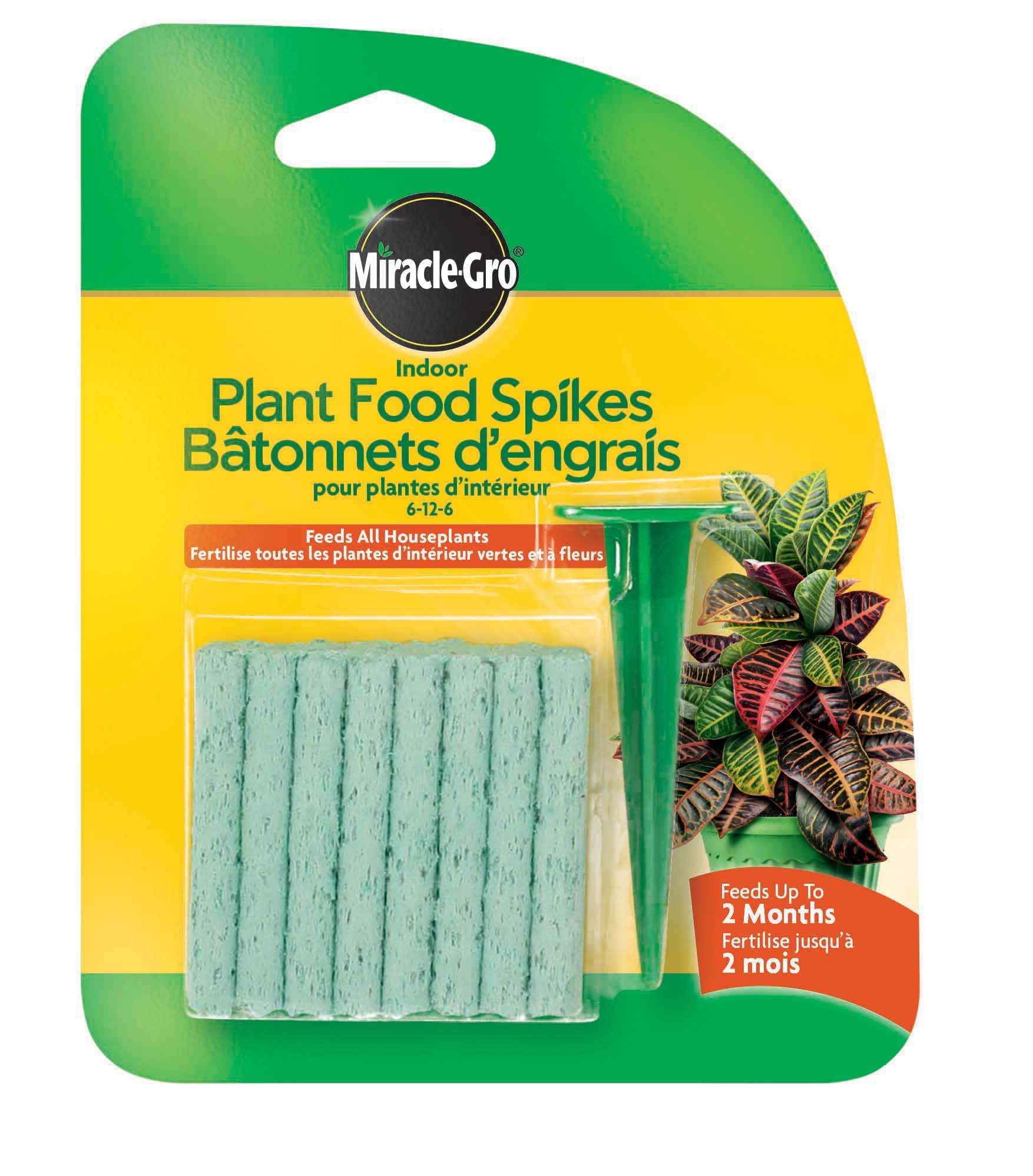 Miracle-Gro Indoor Plant Food Spikes provide a simple solution for consistent houseplant nourishment.