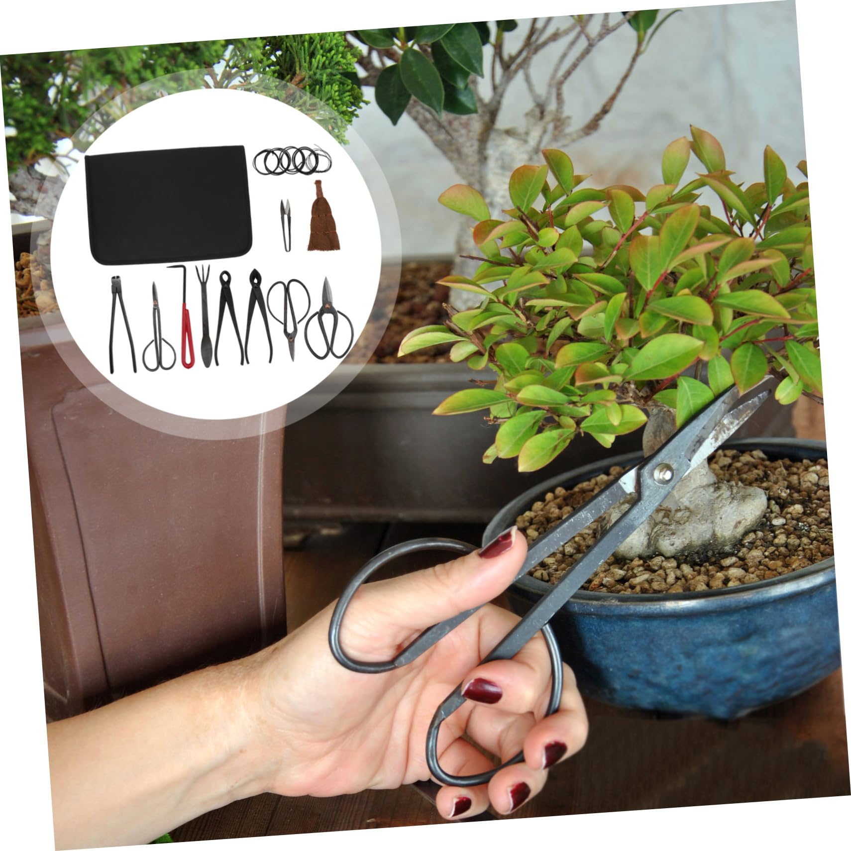 VICASKY 1Set di cesoie da giardino professionali per taglio preciso di piante d'appartamento, durevole e versatile per interni
