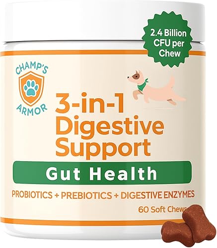 Champ's Armor Apoyo digestivo 3 en 1 probióticos diarios para perros, con prebióticos y enzimas digestivas, para la salud intestinal y el sistema