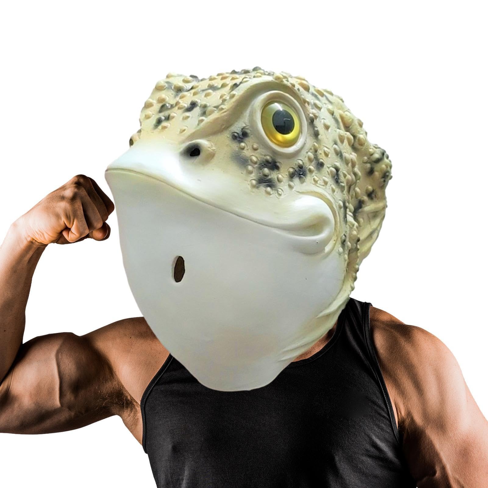 Full Head Animal Headgear - Full Head Frog Animal Headgear Toad Face Cover,Realistic Universal Novelty Decoration Halloween Costume Props for Women Men, Party Cosplay Zorq