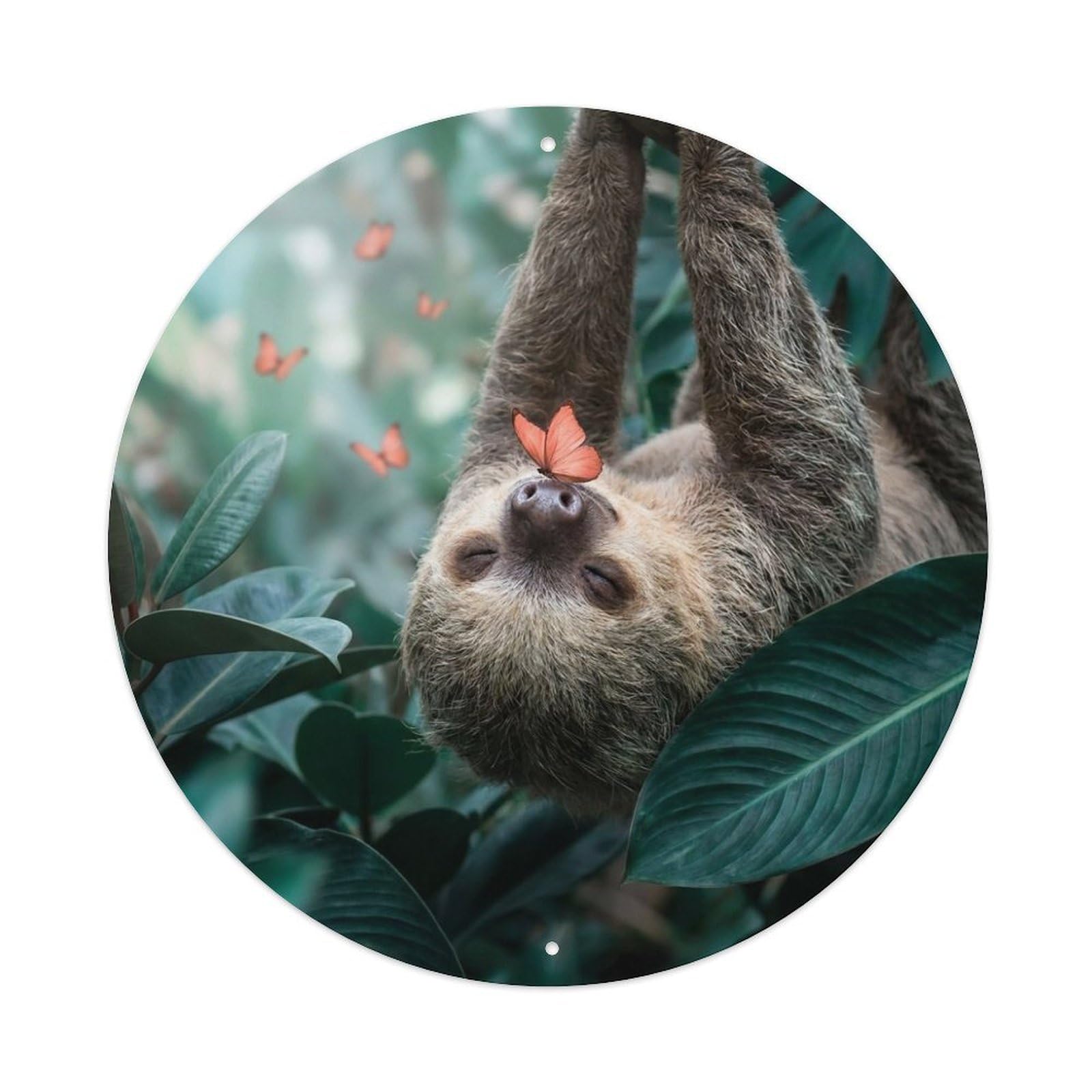 Sloth Cute Wildlife Coral Butterfly Jungle Dreamy Kawaii Metal Tin Sign Plaque Wall Decor for Cafe, Man Cave, Club Bar, Office, Home Garden Round Metal Poster 8x8Inch