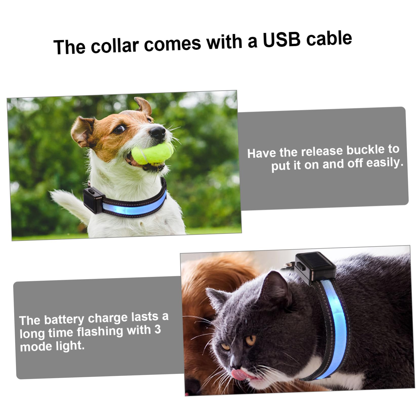 BESPORTBLE 3ensembles Collier LED Pet Dog USB Rechargeable Collier Lumineux Et Clignotant pour Chiens Sécurisé Et Visible pour Et Camping
