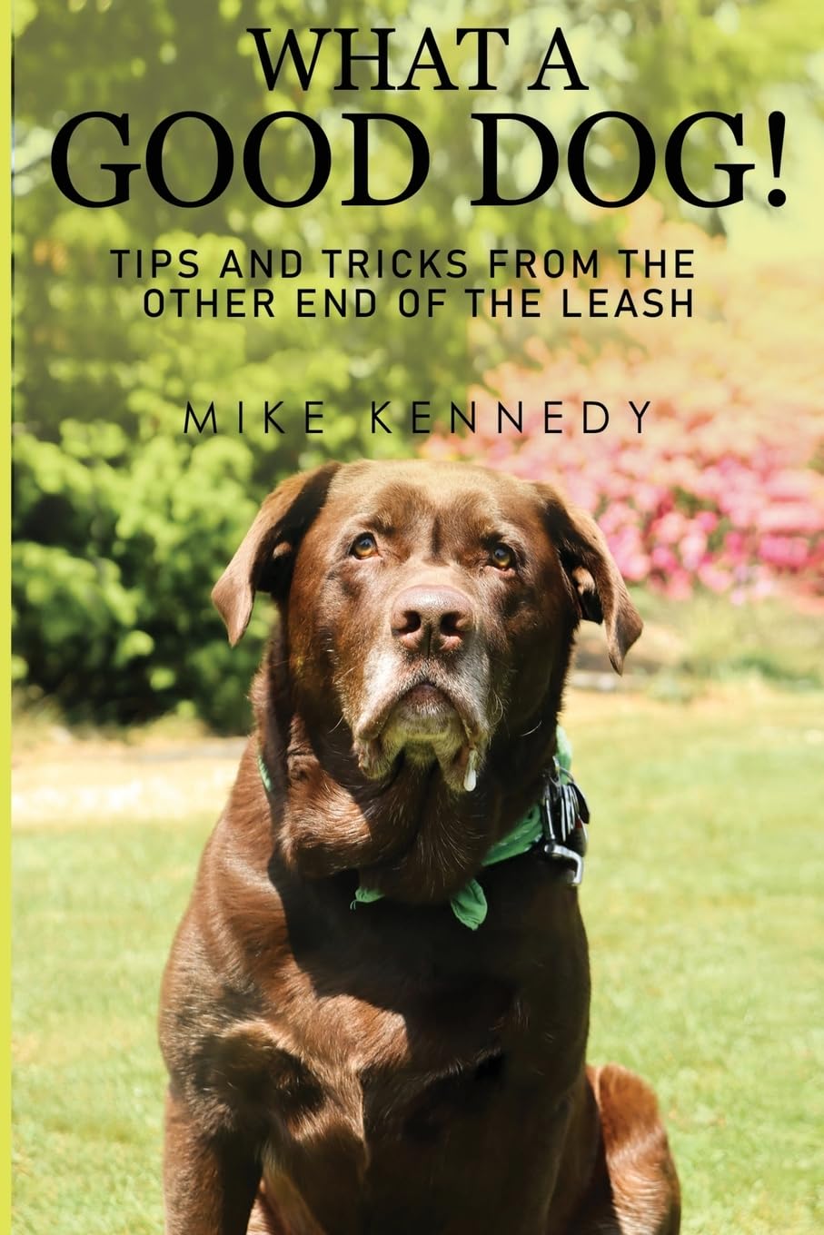What a Good Dog! Tips and Tricks from the Other End of the Leash.. Kennedy**
