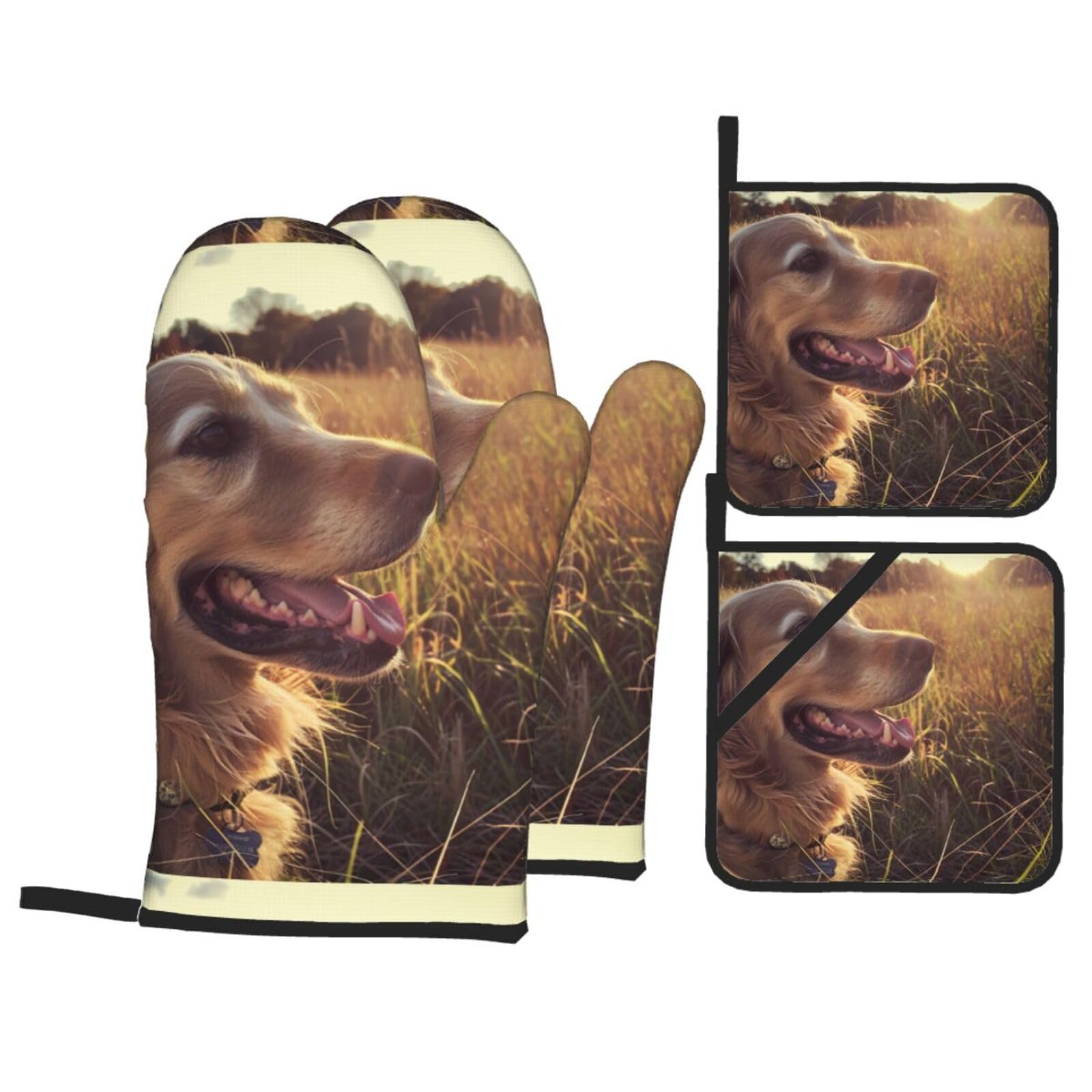 Récipients de cuisson isothermes Golden Retriever pour garder vos repas chauds