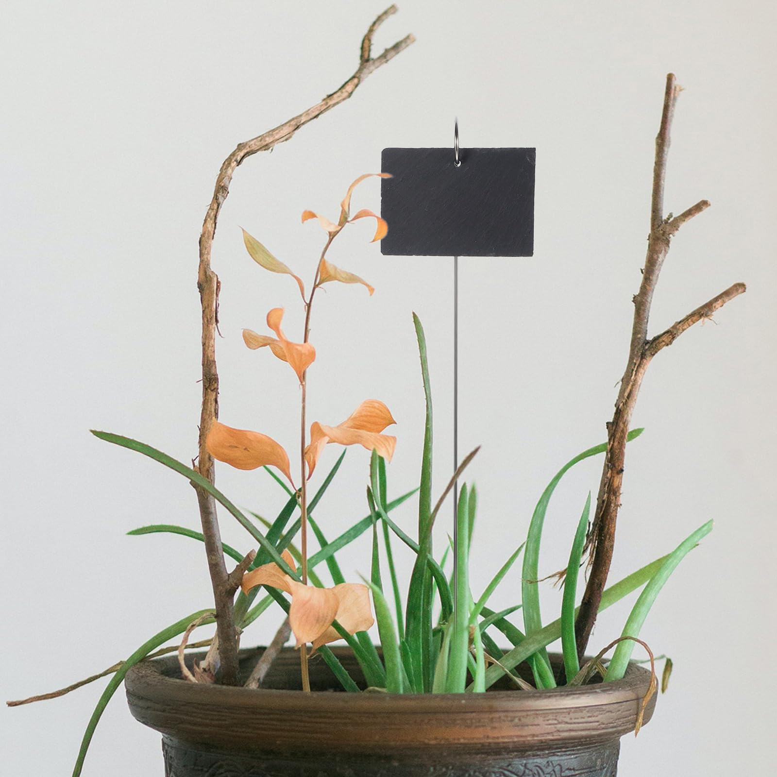 Edelstahl Pflanzenstecker für Gartenpflanzen Langlebige und Einfach zu Beschreibende Pflanzenschilder in Schwarz für Blumentöpfe und Gartenarbeit