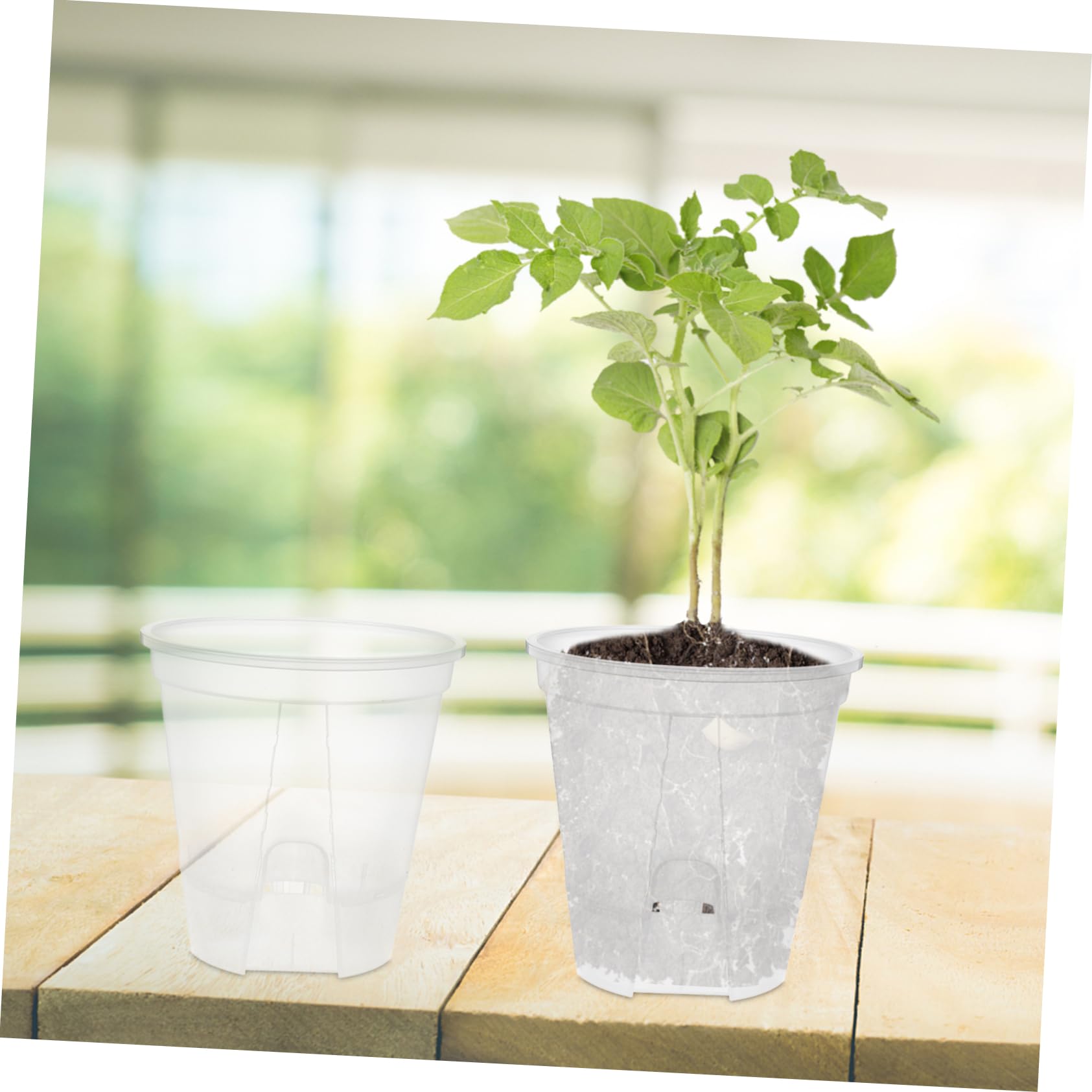 6pièces Pots De Fleurs Transparent avec Drainage Automatique Pots De Plantes pour Intérieur pour Orchidées Et Plantes Intérieur