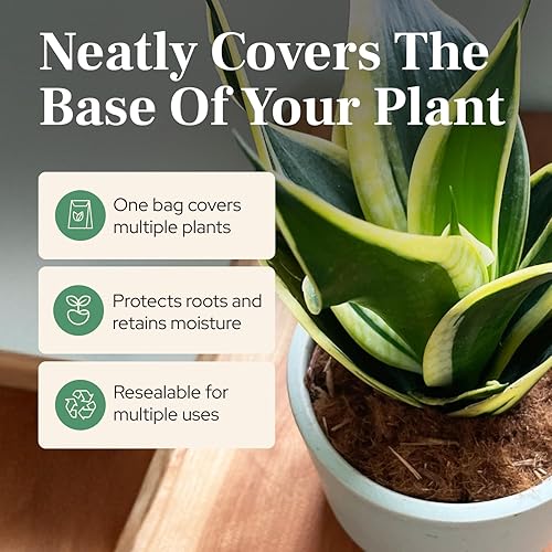 Miniatura 2 de Urban Thumb and Co - Mantillo ultrafino para plantas de jardín - Cubierta superior para plantas de interior y exterior en maceta, tamaño compacto,