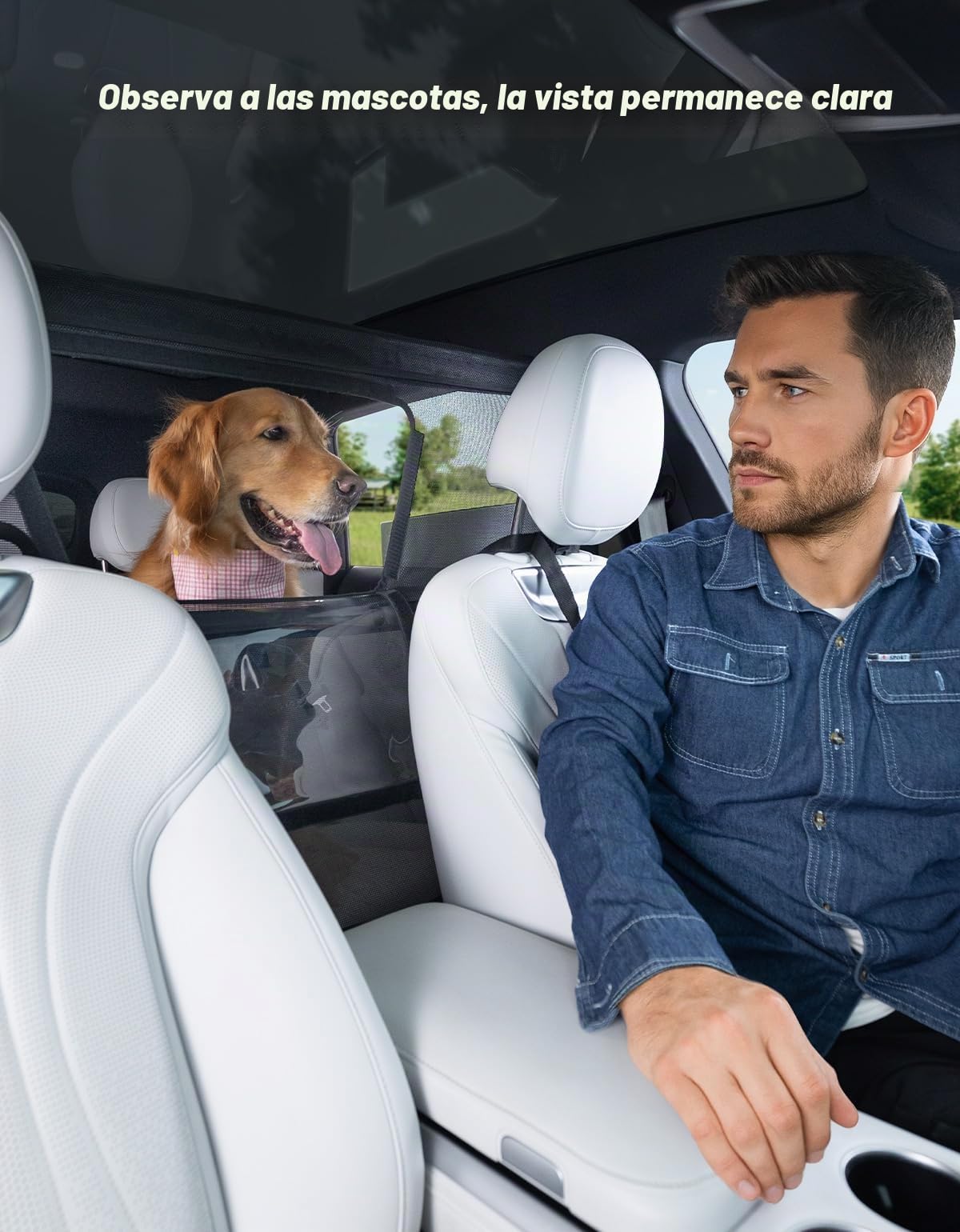 JOYTUTUS Rejilla para perros de coche, red de protección, barrera de separación con ventana de visualización, rejilla separadora universal para perros, 132 * 79 cm, para coches, SUV, camiones