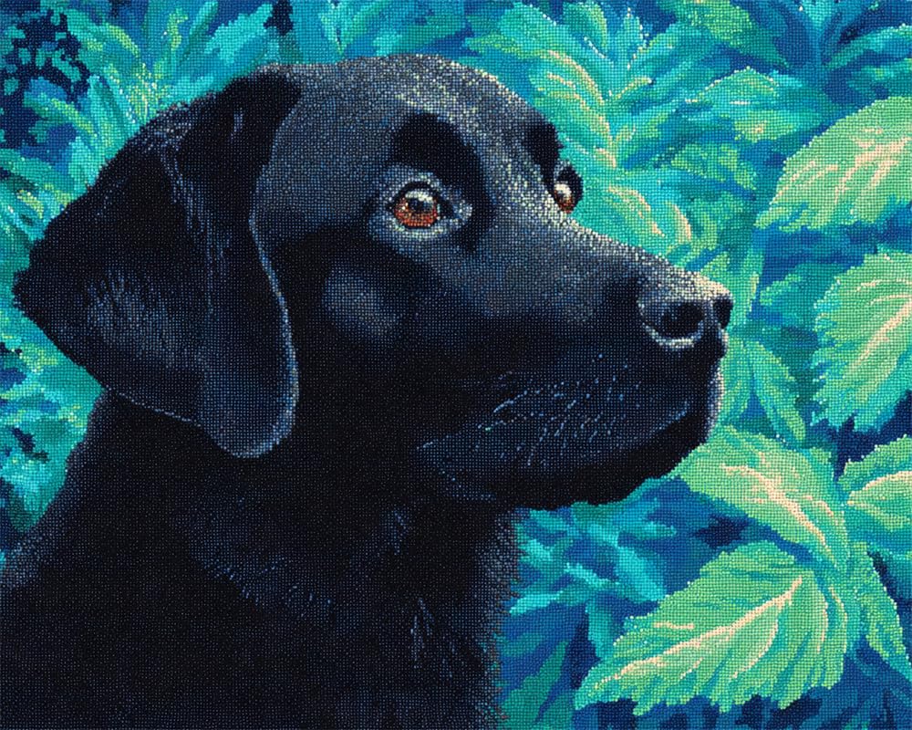Kitquiver Rug Kits for Adults Latch Hook Printed Black Labrador 52X38Cm DIY Crafts Crochet Yarn Handmade Embroidery with Printed Canvas Needlework for Home Decor