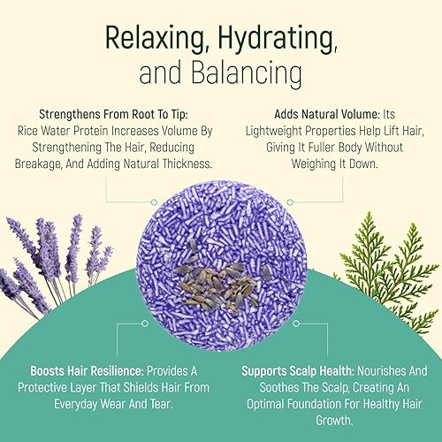 Miniatura 4 de Barra de champú sólido y jabón para el cabello con efecto acondicionador, paquete de 12 barras de champú naturales para cabello con aceites