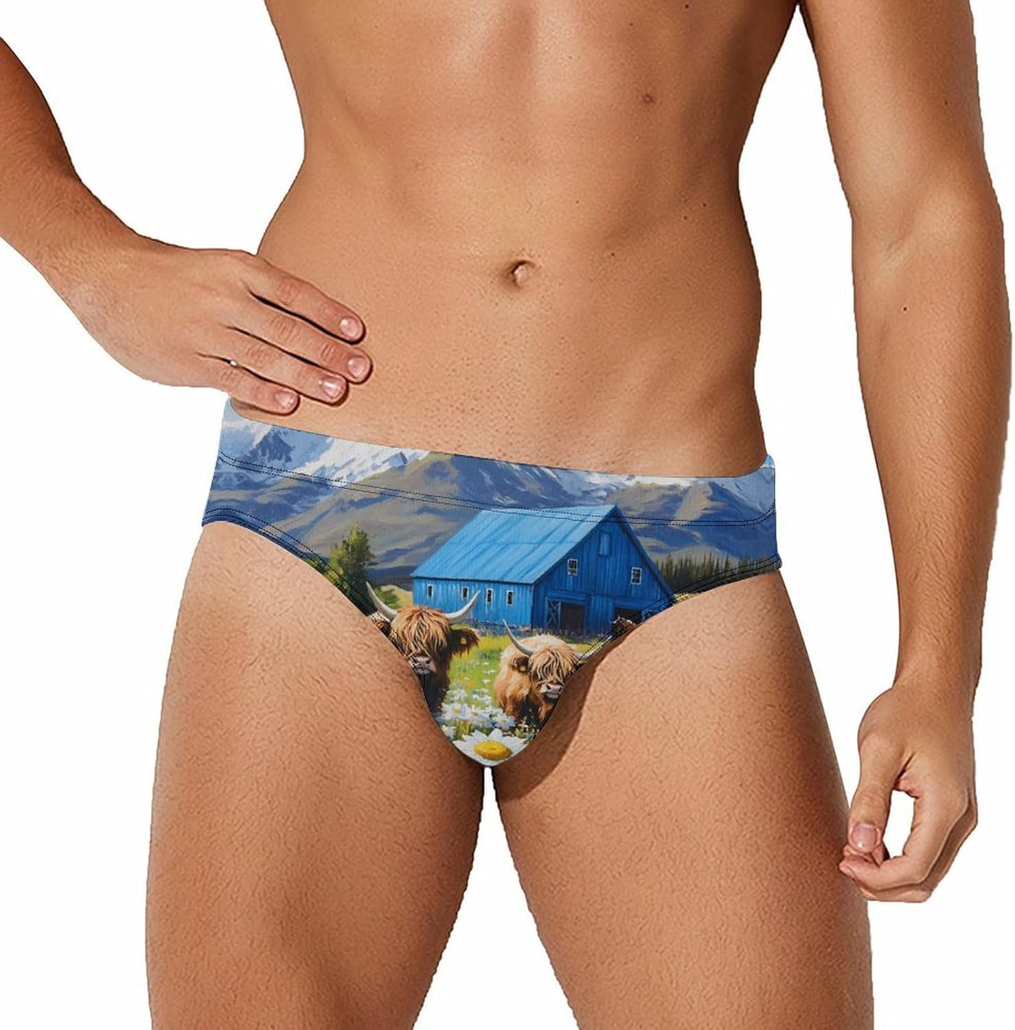 Farmhouse Barn Highland Cow Men's Swimsuit Brief Sexy Bikini Briefs Retro Printed Swimwear Quick Dry Swimming Trunks 3X-Large