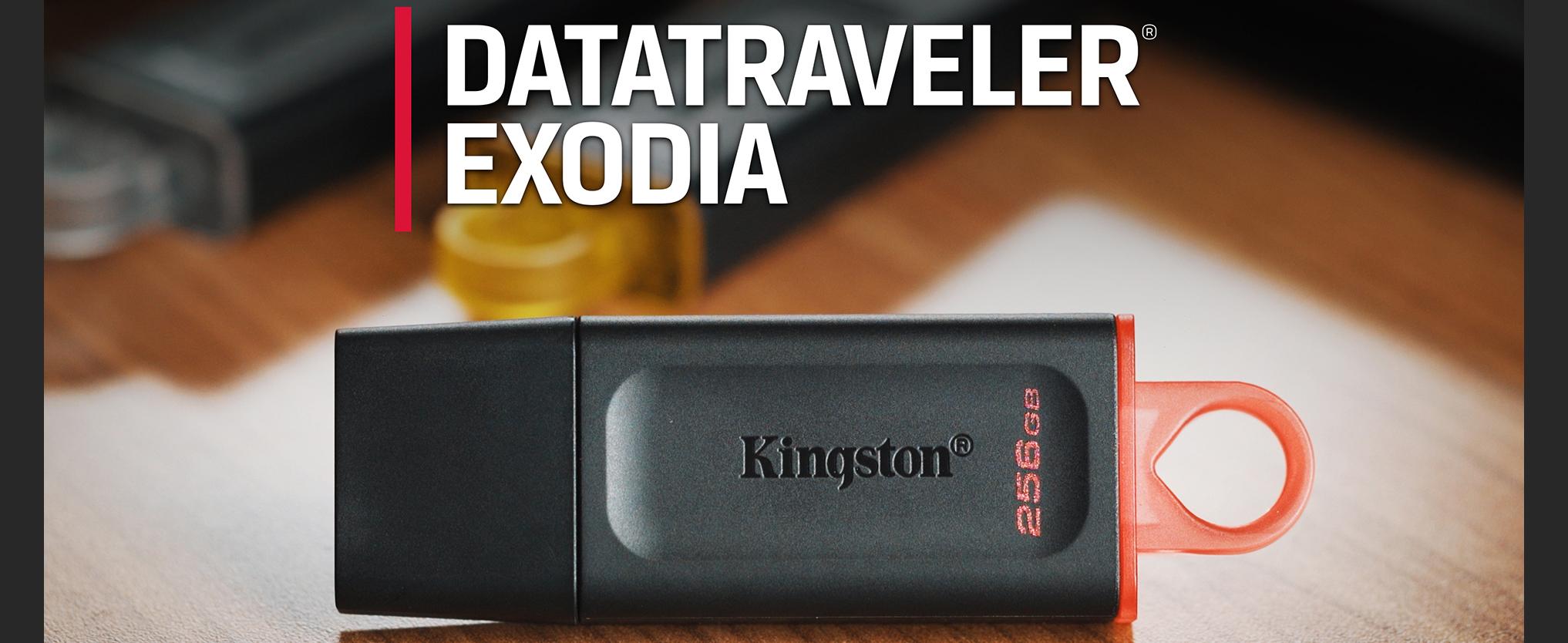 Amazon.com: Kingston DataTraveler Exodia 256GB USB 3.2 Flash Drive