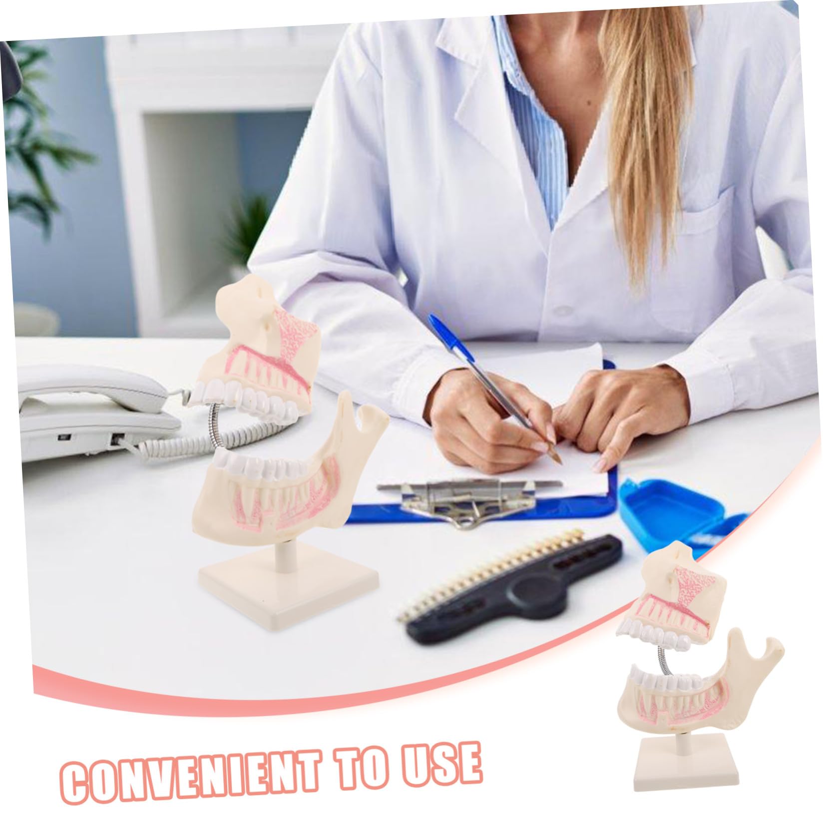 Overdenture Modell Kieferorthopädisches Übungsmodell Zahnersatzreparatur Übungszahnmodell Dekor Skulptur Zahnschnitz Trainingsmodell Zahnschnitz Übungsmodell Kunststoff