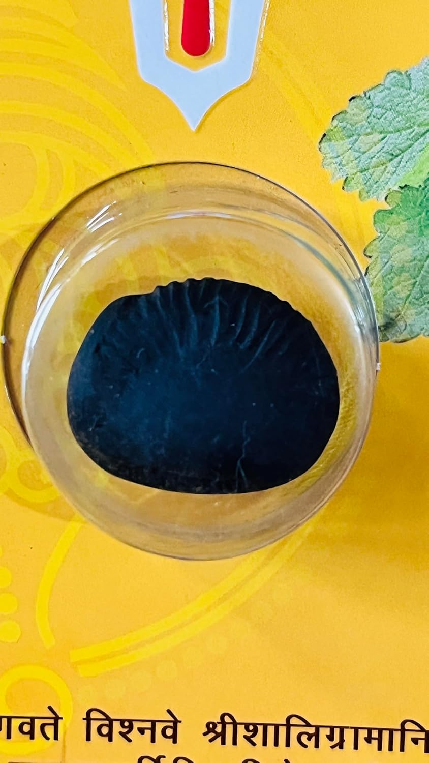 Natural Laxmi Narayan Shaligram Stone – Sacred Shaligram Fossil for Vishnu Puja, Spiritual Worship Stone