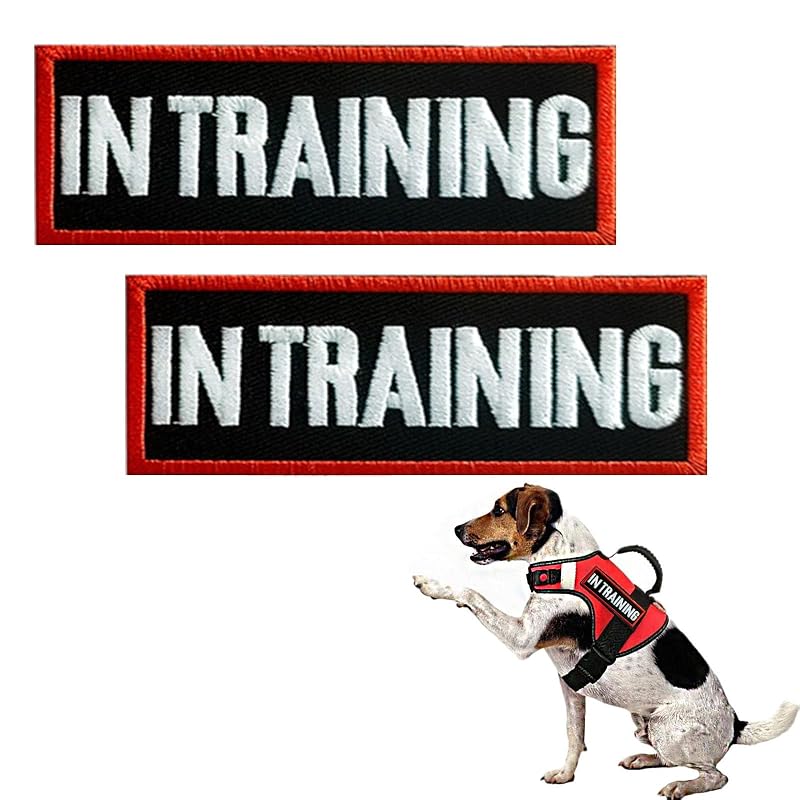 Patch para Peitoral de Cão IN TRAINING com Gancho e Argola MBOTIROSA – Pacote com 2