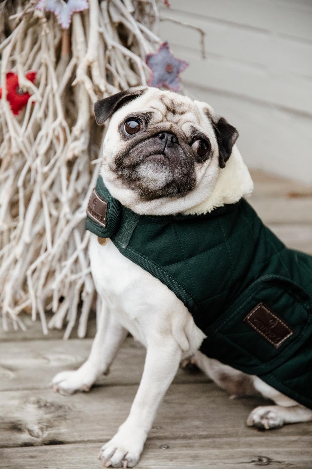 Kentucky - Manteau pour chien - Vert foncé - XS - 28-33cm