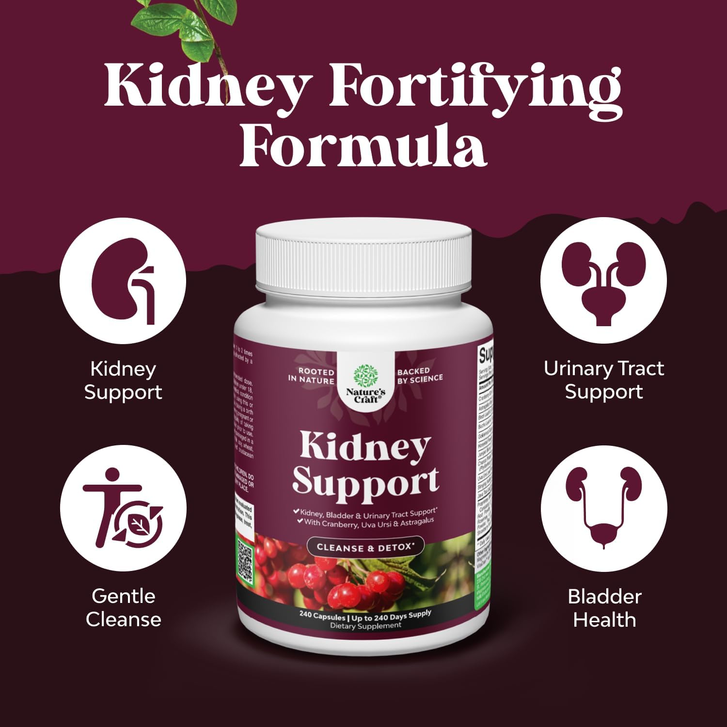 Advanced Kidney Support Capsules - Cranberry Supplement - 240 Count — Amazon image 3