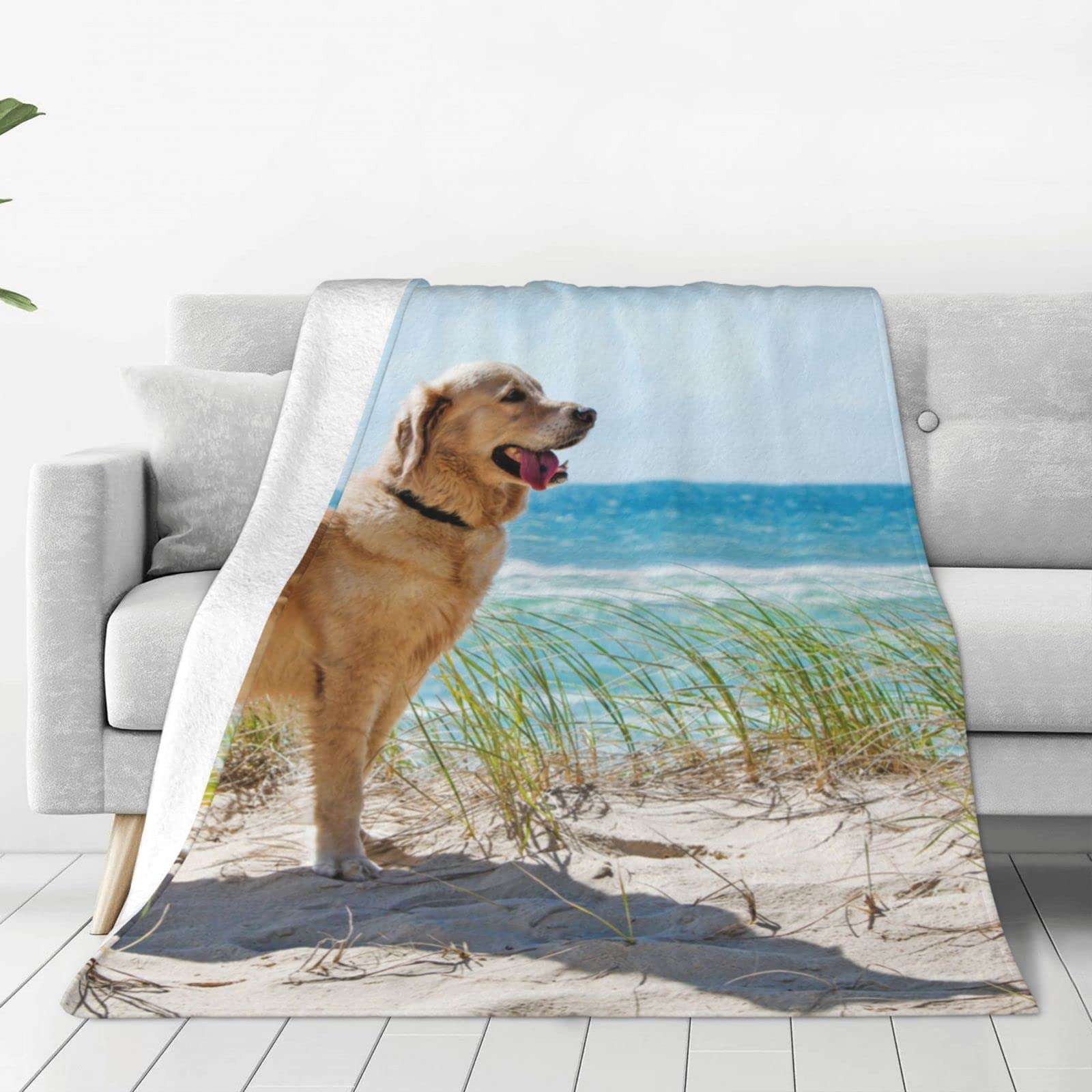Plaid Golden Retriever couverture flanelle douce microfibre chaude canapé salon 100x125cm