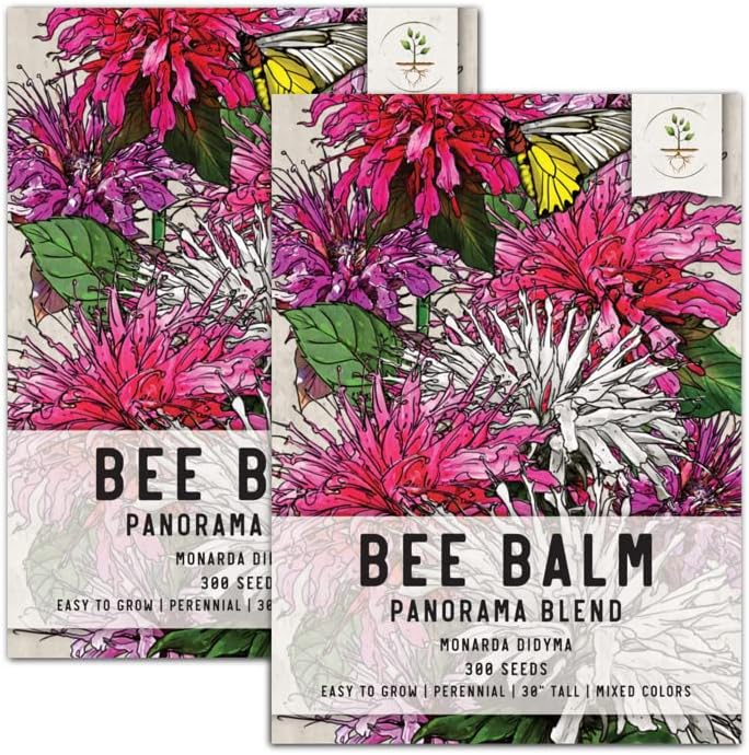 Seed Needs, Panorama Blend Bee Balm Seeds for Planting (600 Seeds)