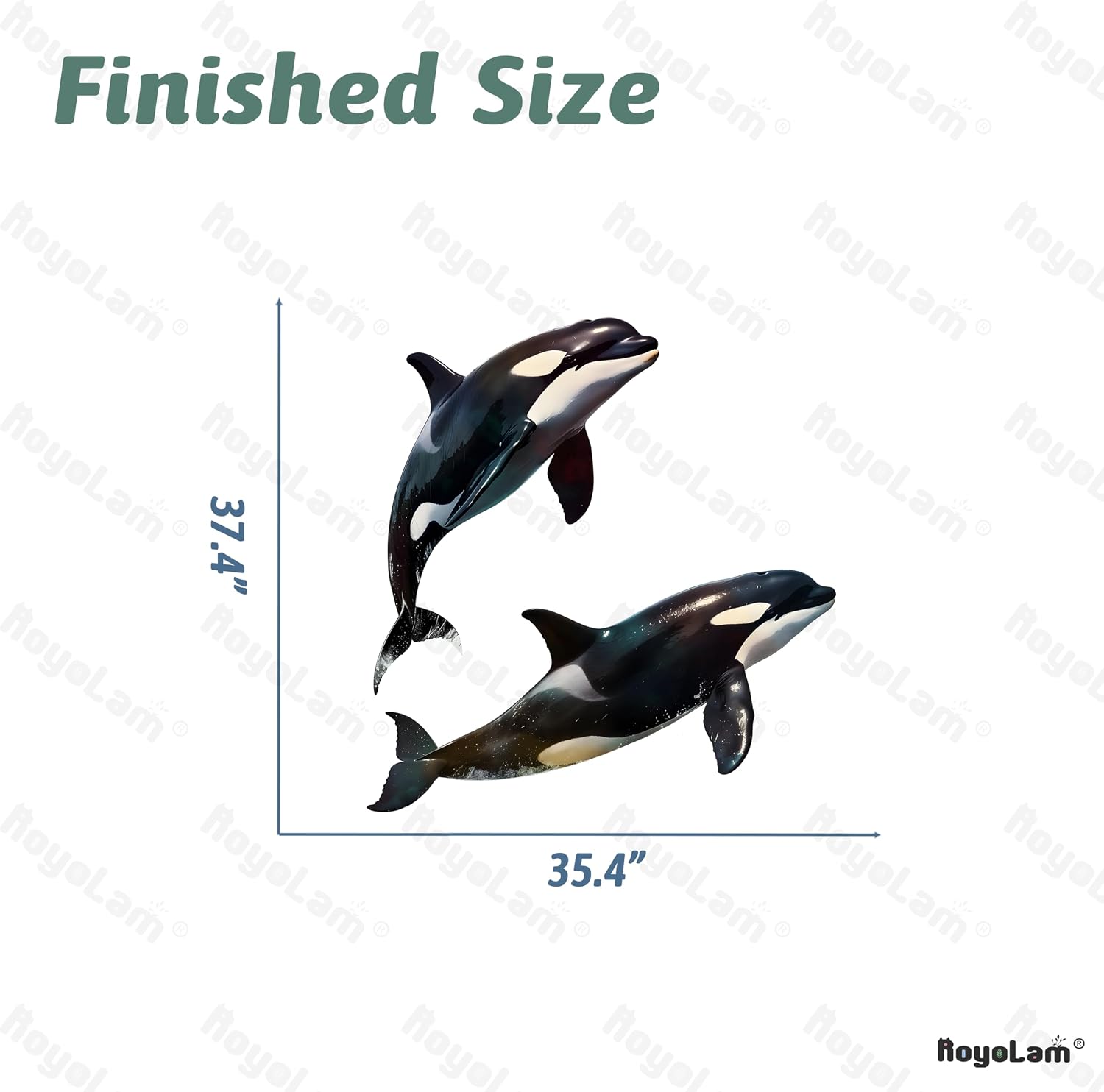 Two Killer Whales Wall Decal Sea Animal Wall Sticker | Removable, waterproof, vinyl peel and stick wall art for nursery, classroom, living room, playroom, bedroom, and bathroom