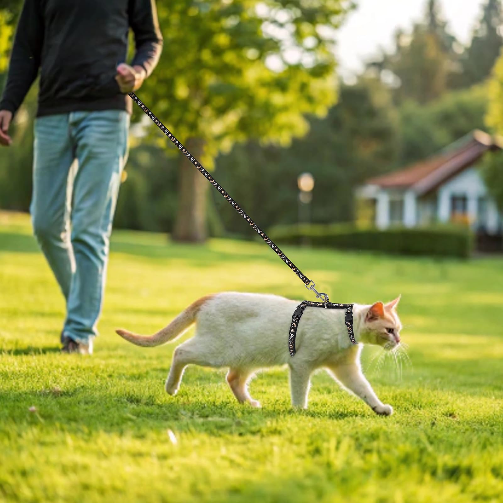 PAWCHIE Uprząż dla kota ze smyczą i obrożą – ochrona przed ucieczką, regulowana uprząż dla kota z wzorem gwiazdy i księżyca, świecąca w ciemności dla kotka na spacery na świeżym powietrzu