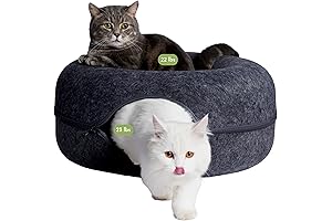 Cattasaurus Peekaboo Cat Cave for Multiple Cats