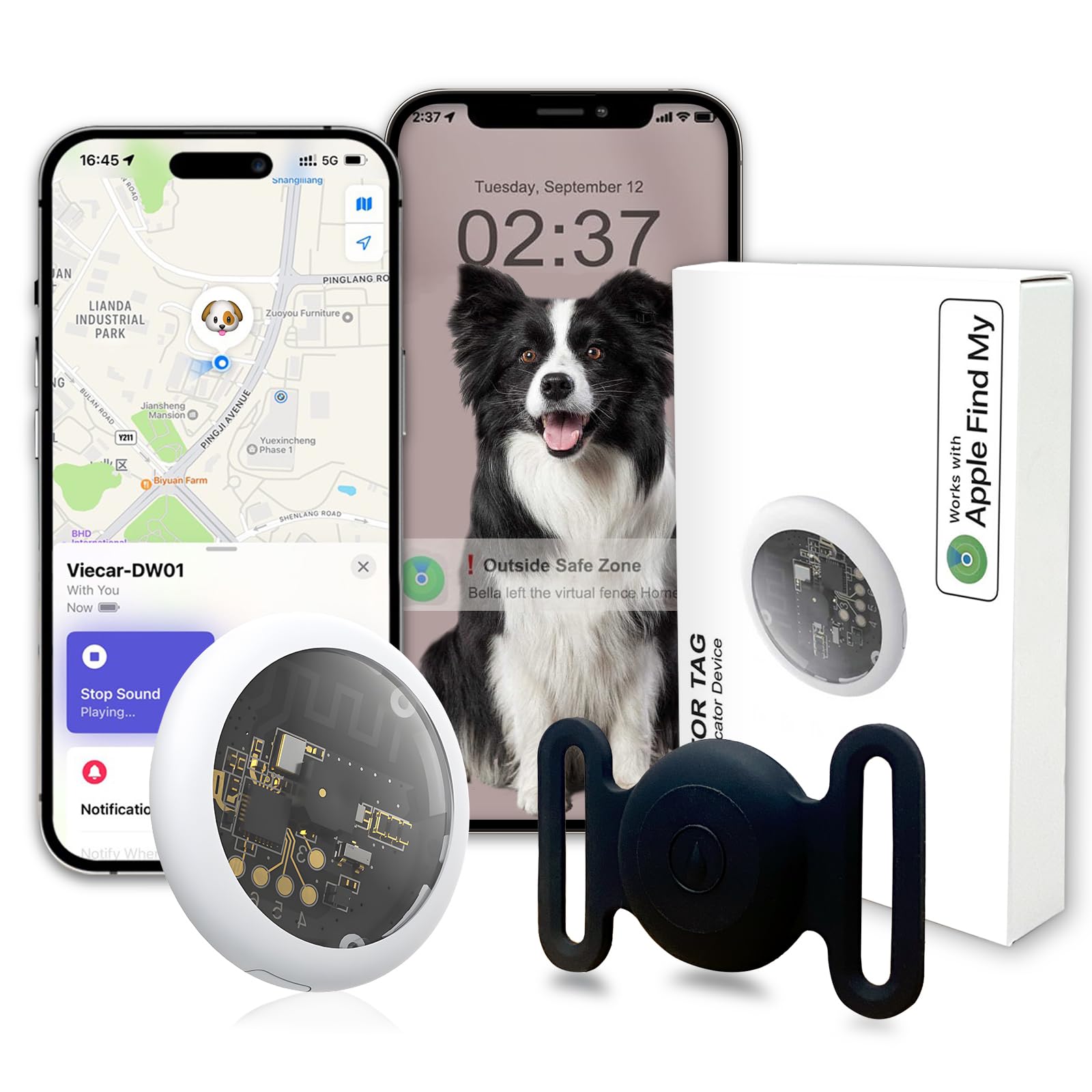 Localizzatore GPS per cani senza ABO (iOS), localizzatore per cani, impermeabile IP67, localizzazione degli animali domestici, lunga durata della batteria, mini tracker per cani e gatti (M13)
