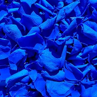200Pcs Real Dried Preserved Royal Blue Rose Petals, Natural Flowers 1.75oz for Romantic Night