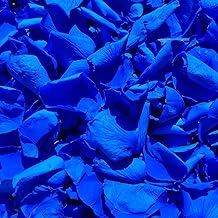 200Pcs Real Dried Preserved Royal Blue Rose Petals, Natural Flowers 1.75oz for Romantic Night Wedding Dinner Table Party Confetti Bridal Shower Decor, Royal Blue Decorations