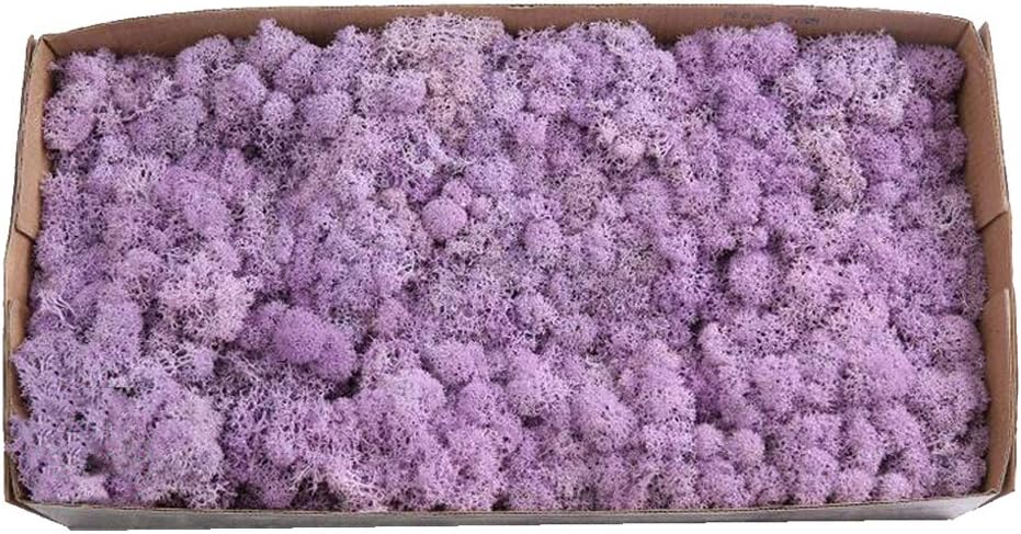 Dried Moss Craft Flower Reindeer Moss Craft Hanging Baskets Plants Floral Gardens Wedding Christmas Decor Home Decor (Coffee)
